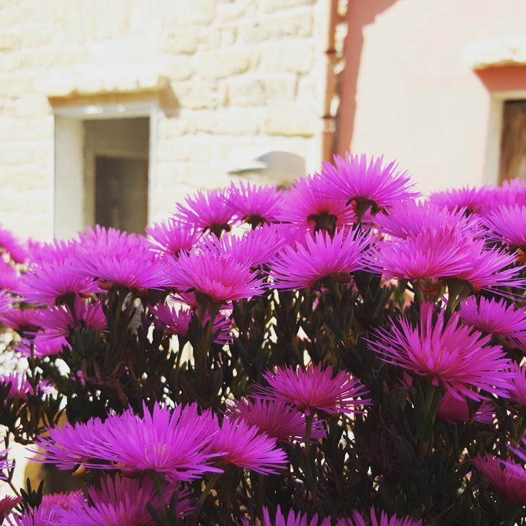 B&B Cinisi Vacanze Екстер'єр фото